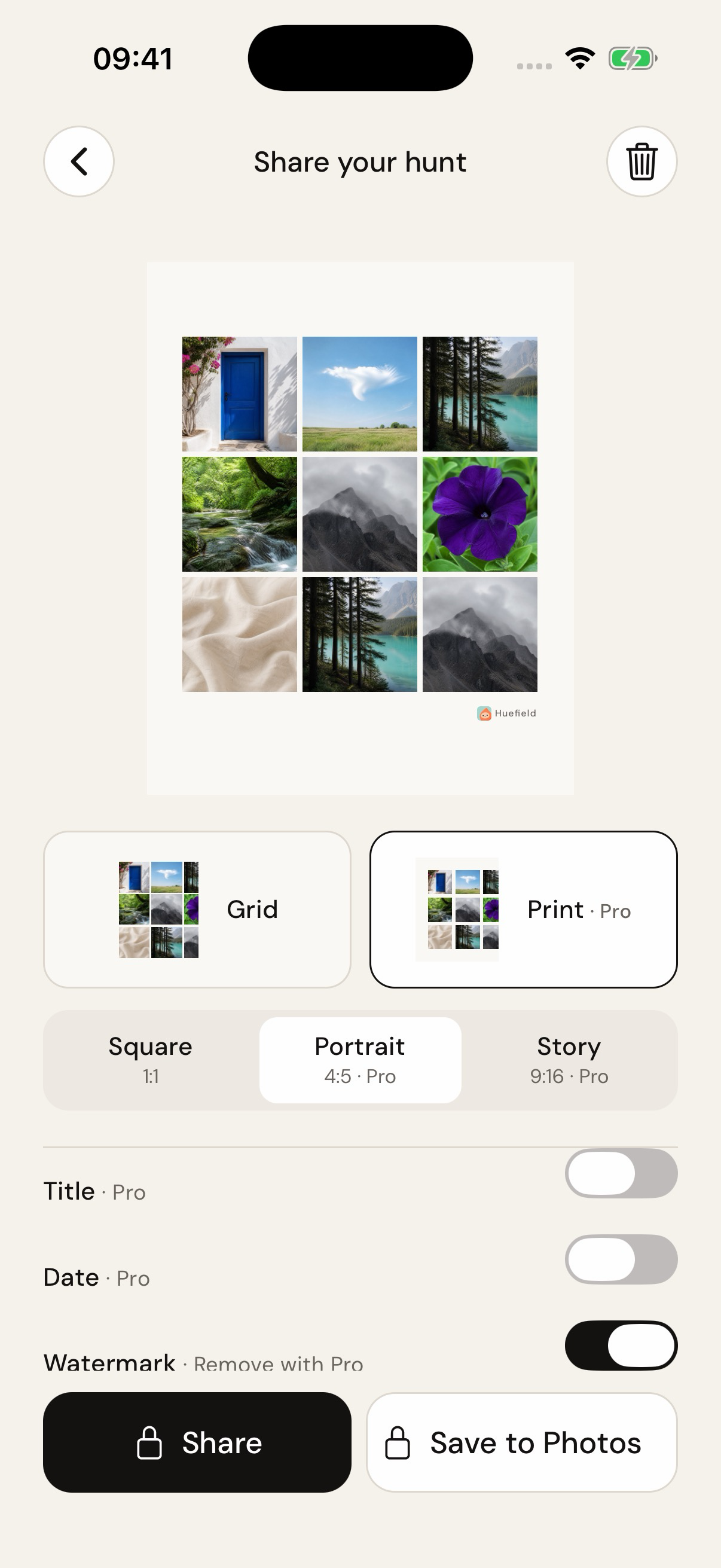 Huefield's export preview, with layout and size controls